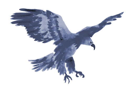animal-Eagle