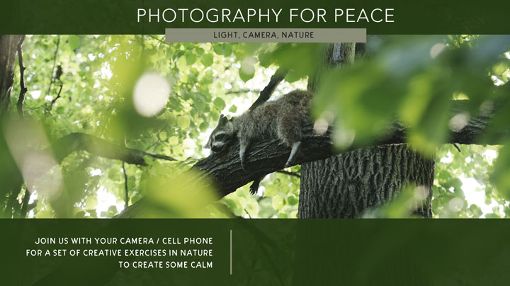 Photos-of-peace-poster-web