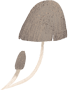 Nature Calm mushroom