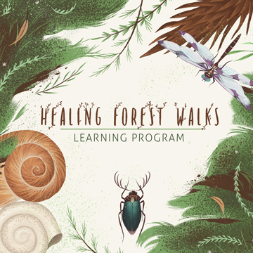 Healing-Forest-Walks