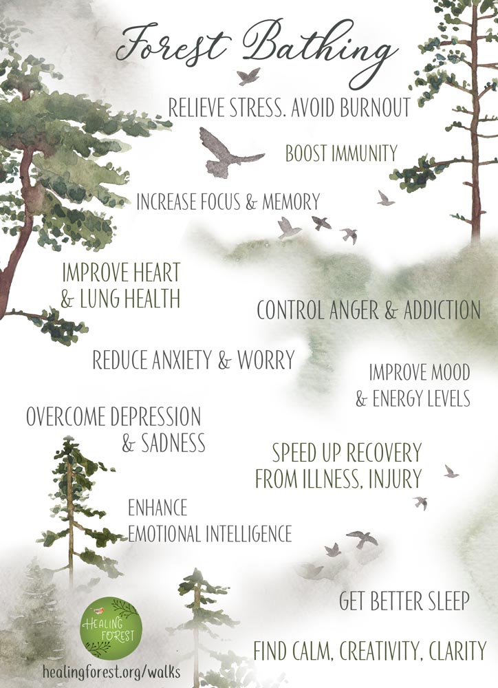 Forest Bathing Benefits