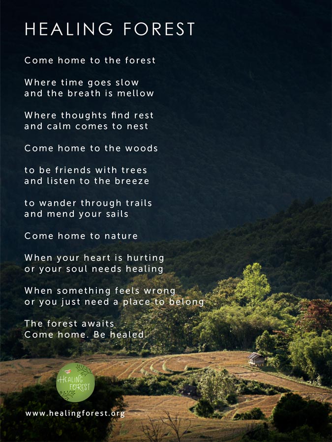 Healing Forest Poem