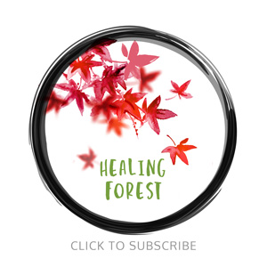 Healing Forest Newsletter