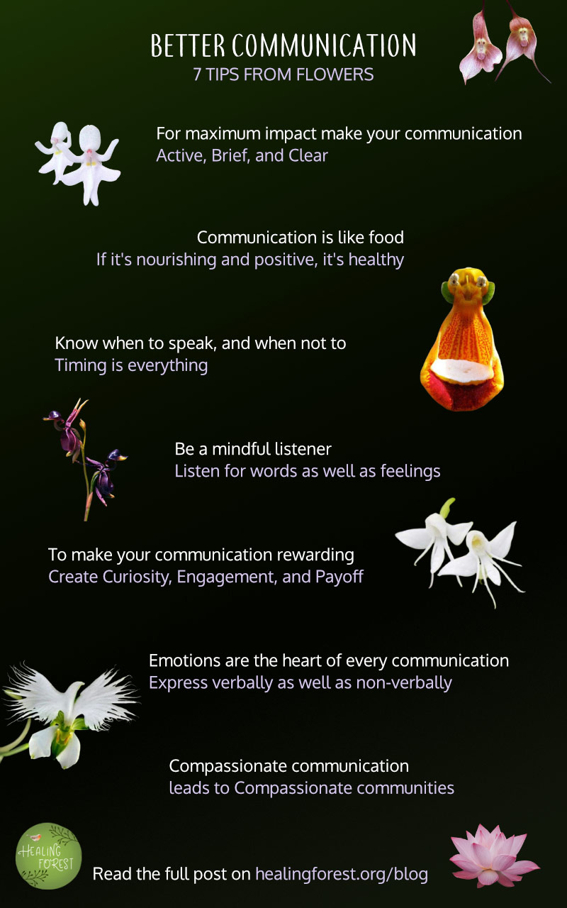 Speak, Write, Listen Better | 7 Tips from Flowers | Healing Forest